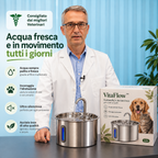 VitaFlow™ – Fontanella in Acciaio Inox per Cani e Gatti